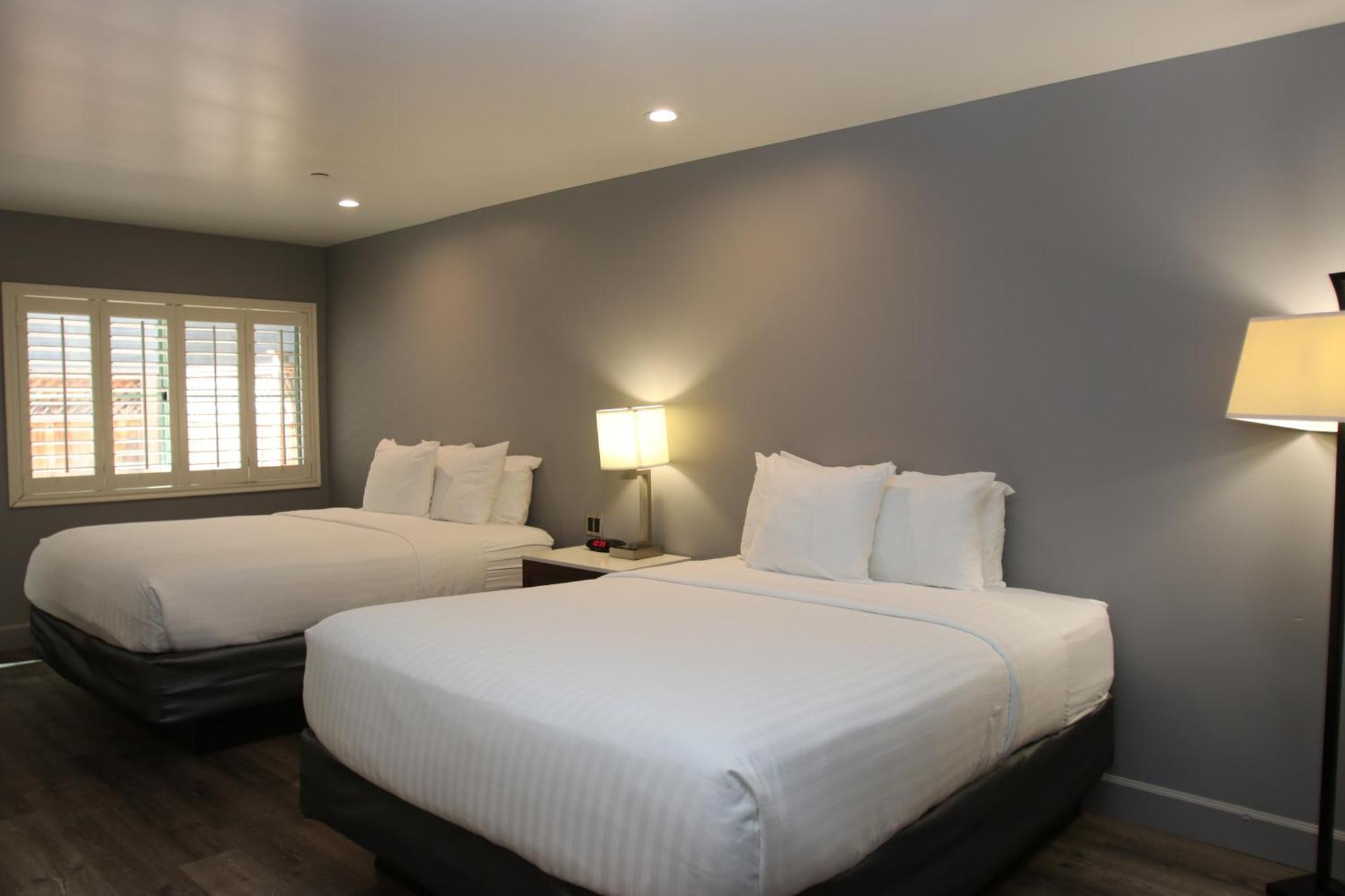 Large One Room Suite 2 King Beds Non Smoking