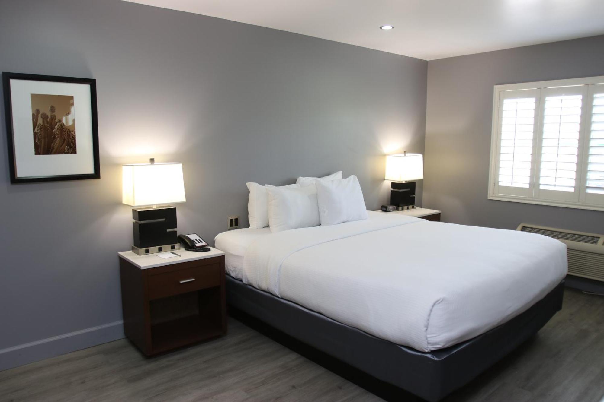 One Room Suite Non Smoking